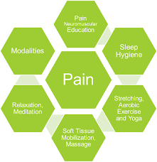 Chronic Pain Management Program | Muscle Pain | H2health